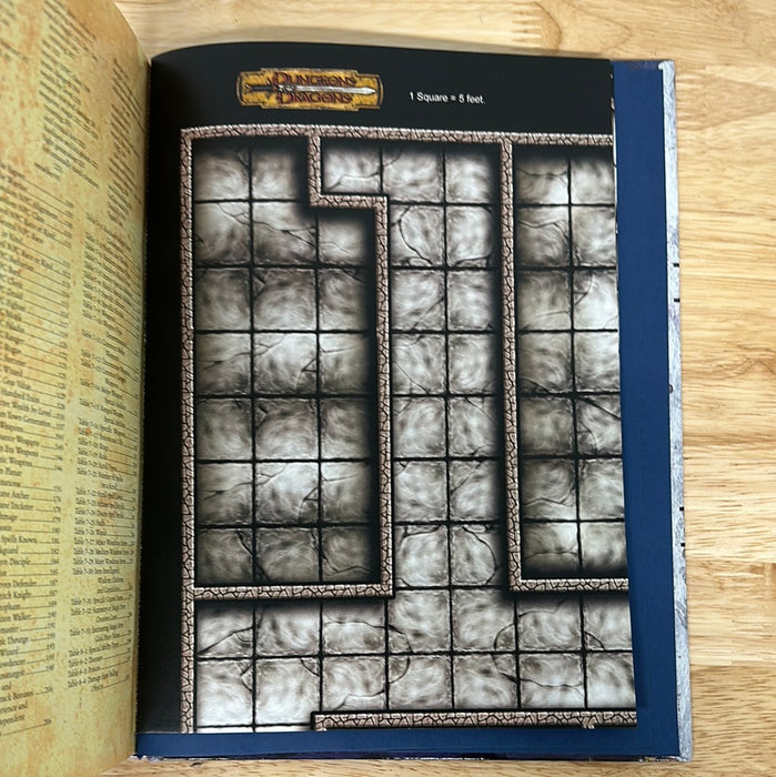 Dungeon Master's Guide (3.5 edition)